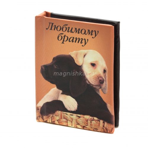 Широкий ассортимент сувениров: магнитики, магниты на холодильник, сувениры, мини книжки, книжки магниты оптом под заказ в Кемерово