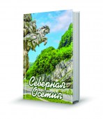 СевОсетия2