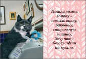 Хозяюшке45
